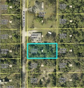 1306 Calvin AVE, Lehigh Acres, FL, 33972