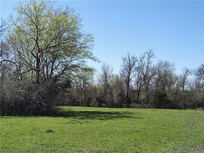 County Road 109, Iola, TX, 77861