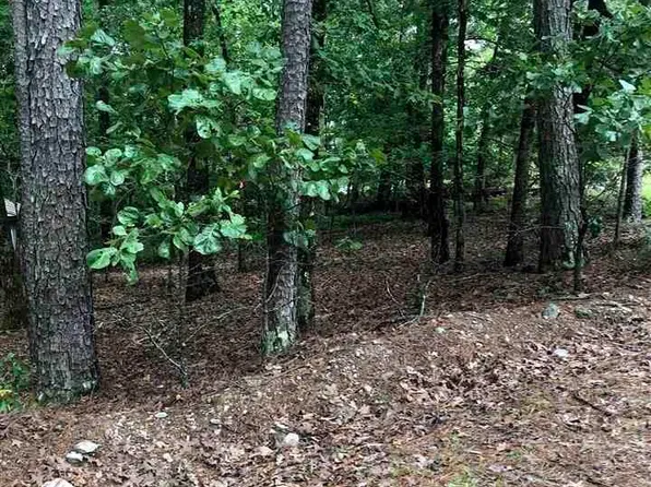 36 Gerante Way, Hot Springs Village, AR 71909