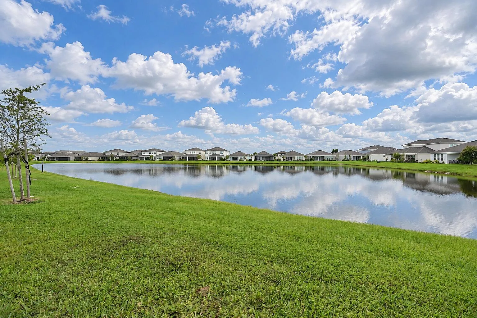 4 bed, 3.0 bath, 2399 sqft, $3,300 — Photo 3