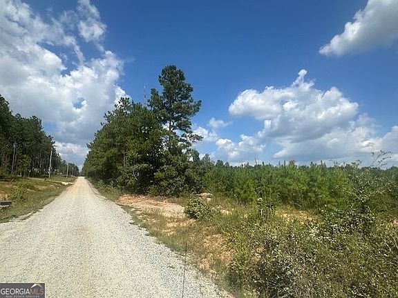 3rd image of 0 Millen Rd Tract 20