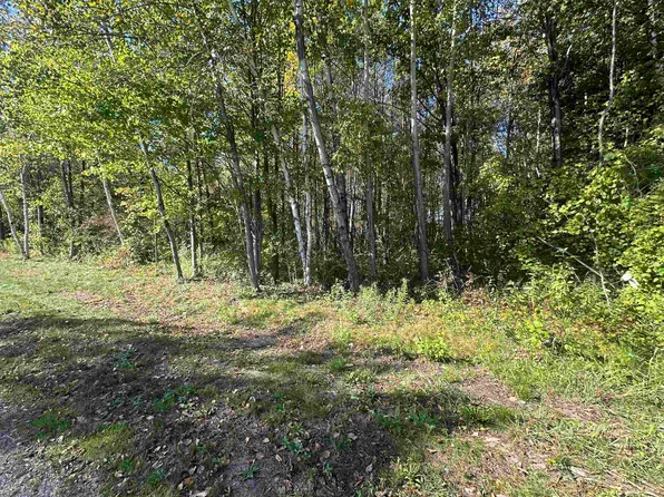 LOT 40 Witbeck Dr, Clare, MI 48617