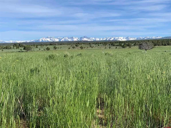 37 acres Tres Coyotes Trail, Montrose, CO 81403