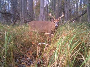 38 Butts Rd #38, Albion, NY 14411