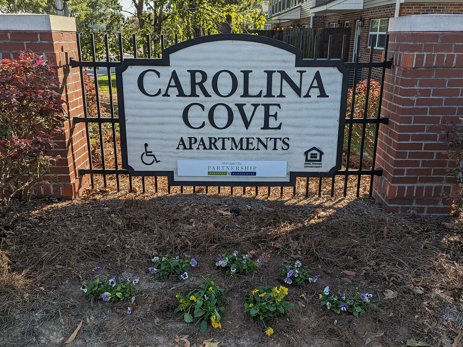 Carolina Cove — Photo 2