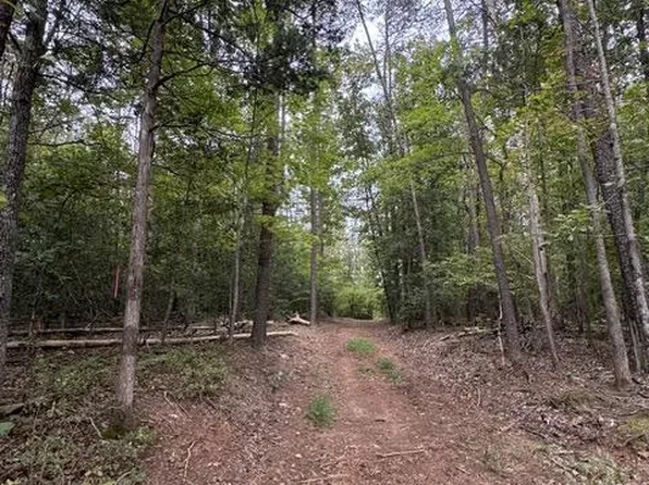 Old Office Rd, Locust Grove, VA 22508