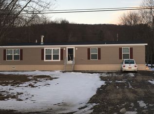 11 Kelsey Rd, Candor, NY 13743