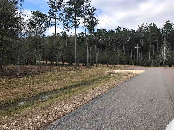 4th image of 9104 Bear Creek Dr