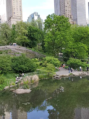 Rented by Corcoran | media 42