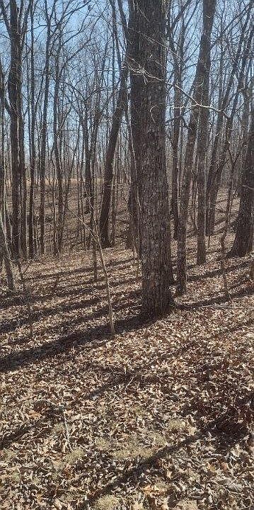 1st image of 1 Ridge Cliff Dr Lot 49