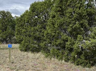 221 El Caso Rd, Quemado, NM 87829