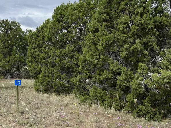 221 El Caso Rd, Quemado, NM 87829