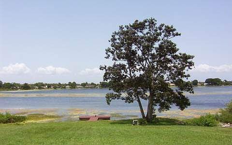 3rd image of 547 Lake August Dr