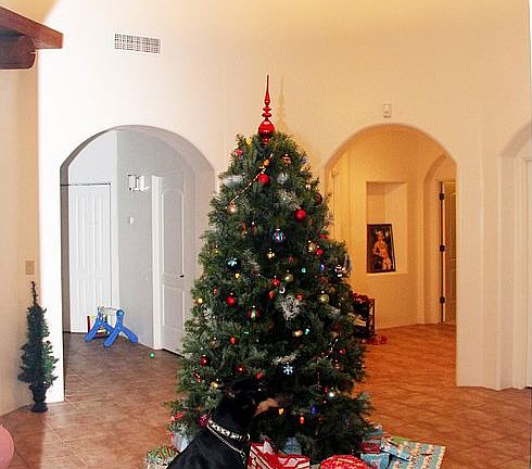 Christmas tree in atrium