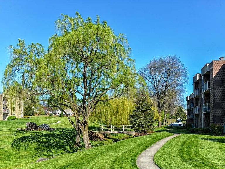 Picturesque landscape