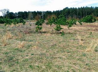 Lindroos Rd, Kaleva, MI 49645