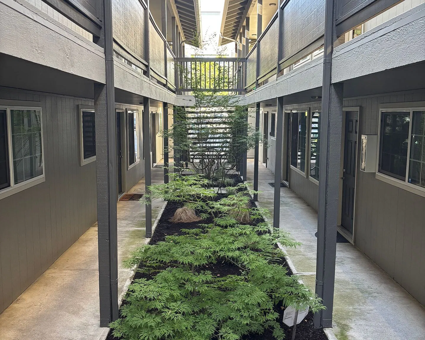 spring01 — Photo 1