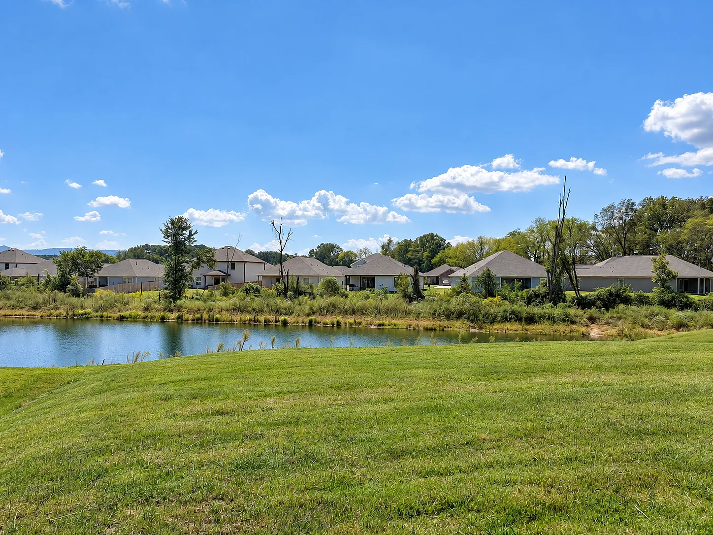 4 bed, 1852 sqft, $1,950 — Photo 3