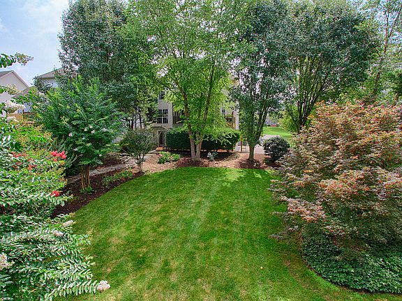 Beautiful Back Yard