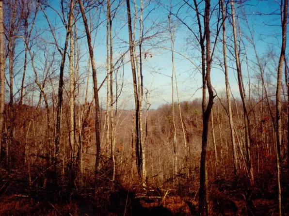 Tick Rd, Hilham, TN 38568