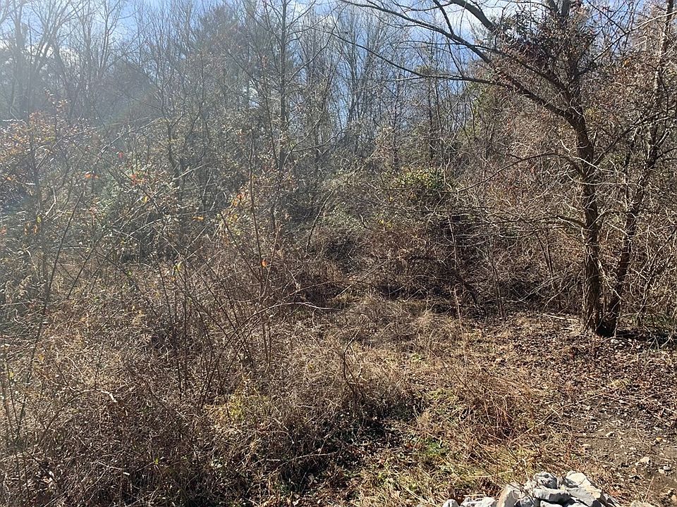 2nd image of 0 Shady Oaks Dr