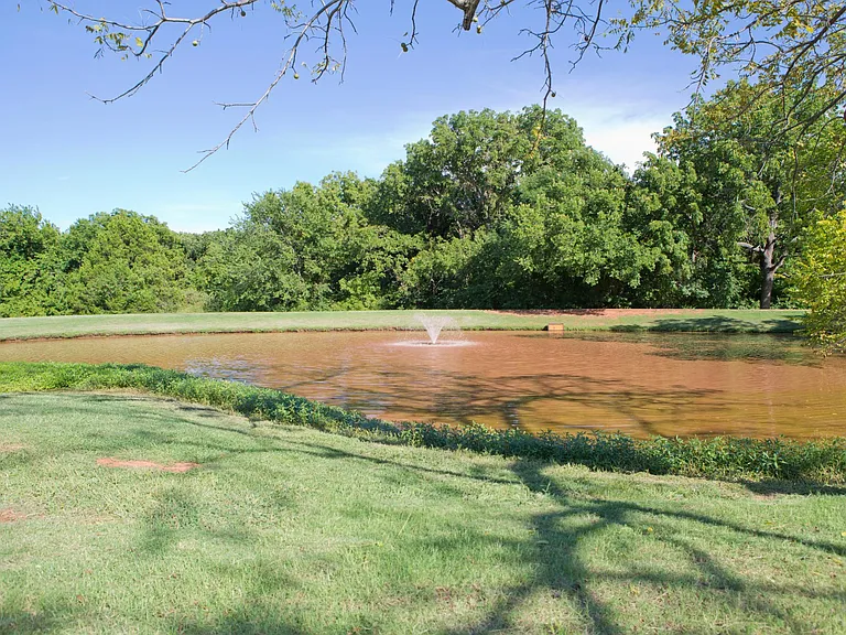 Pond