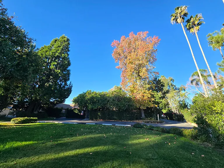 7249 Allott Ave — Photo 12