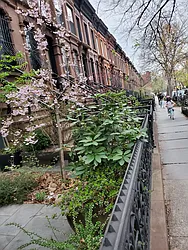 Rented by Oxford Property Group