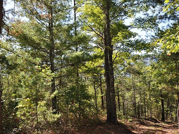 5th image of 0 Stonegate Way Lot 65