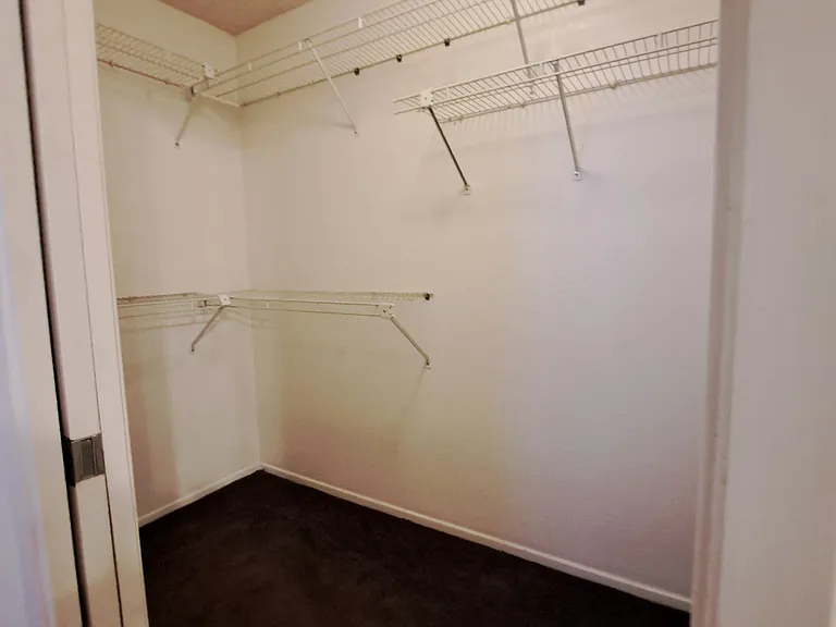 Primary bedroom walk-in closet.