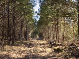 406 Horner Drive, Bradleyville, MO 65614