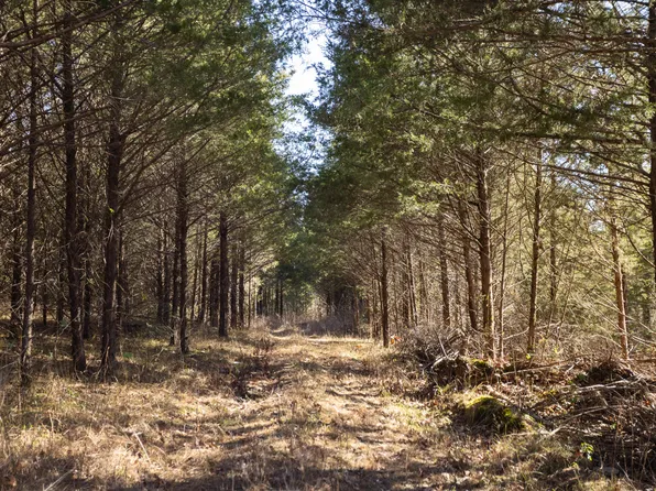 406 Horner Drive, Bradleyville, MO 65614