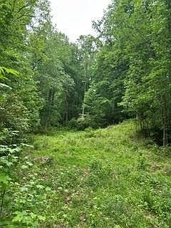 2nd image of 0 Log Cabin Rd