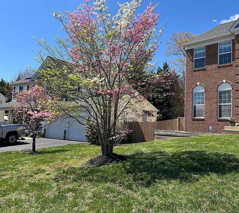 2nd image of 12 Palace Ln