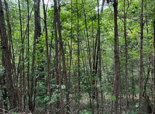 0 Bluffs Of Cartecay, Ellijay, GA 30536