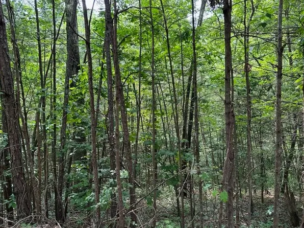 0 Bluffs Of Cartecay, Ellijay, GA 30536