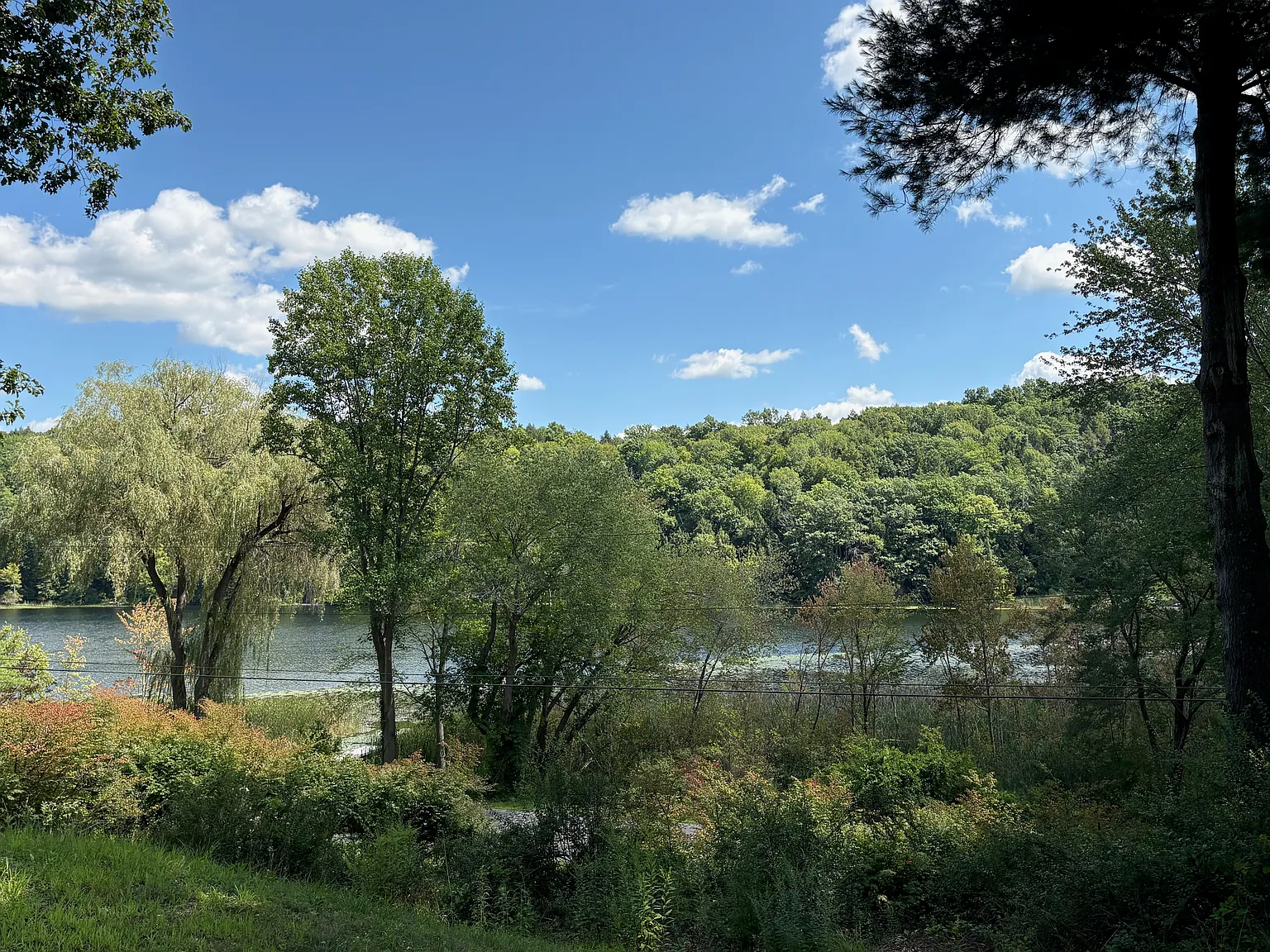 Snyder Pond Rd, Copake — Photo 2