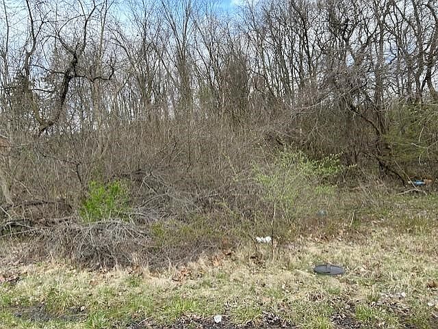 2nd image of 9 Coyle Curtain Rd