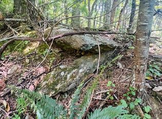 LOT 68 Black Gum Trl, Fancy Gap, VA 24328