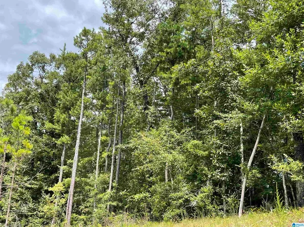 County Road 214 #30, Wedowee, AL 36278