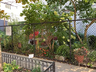 Rented by Brooklyn Properties