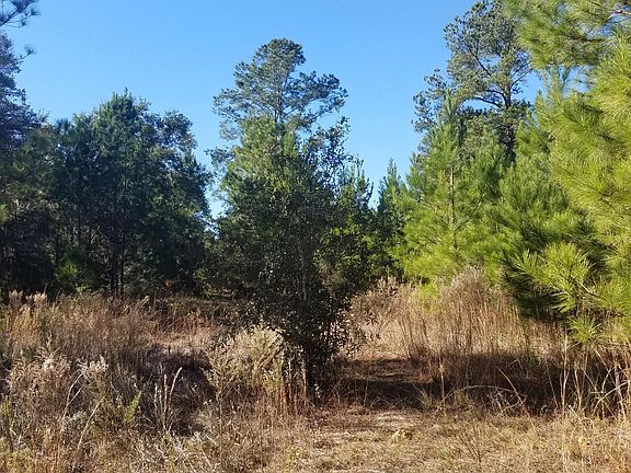 5th image of 765 W Withlacoochee Trl