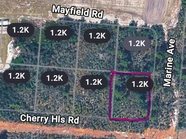 25139 Marine Ave, Sebring, FL 33875