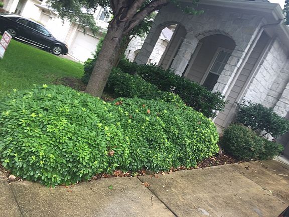 3rd image of 7719 Wexford Sq