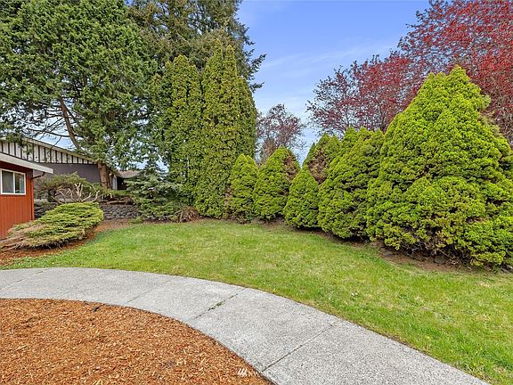 Privacy trees along front yard.