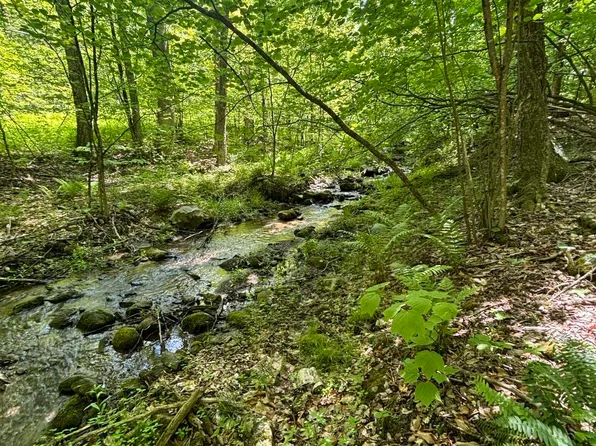 0 West Sandgate Road, Sandgate, VT 05250