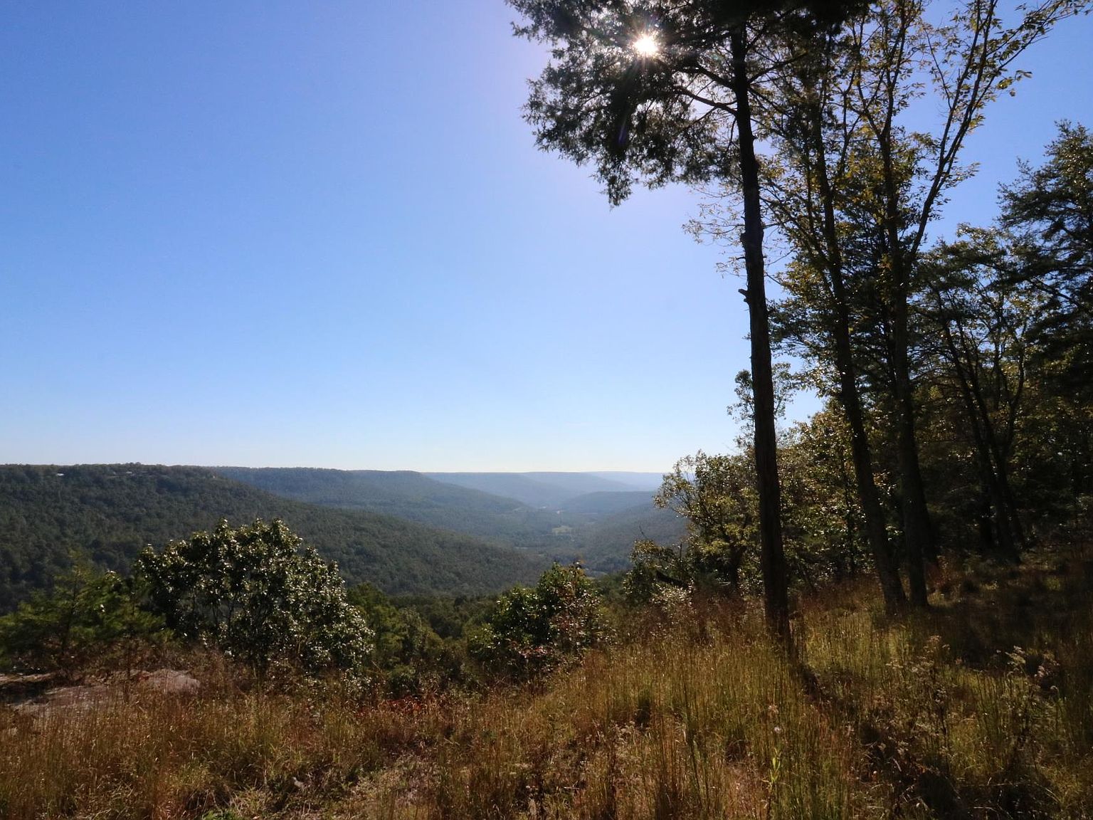 2140 Clifftops Ave, Monteagle, TN 37356 Zillow