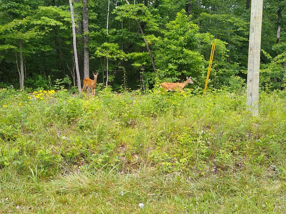 1st image of 152 Beachwood Dr Lot 202