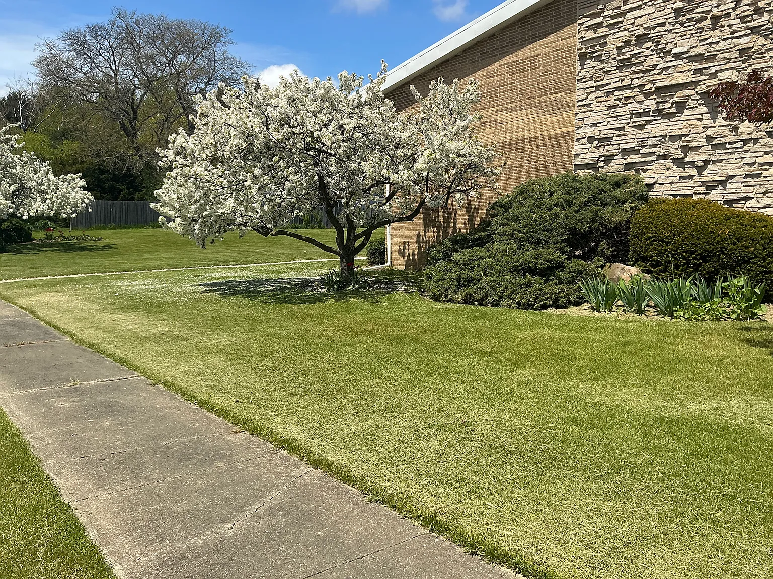 Rolling Hills — Photo 1