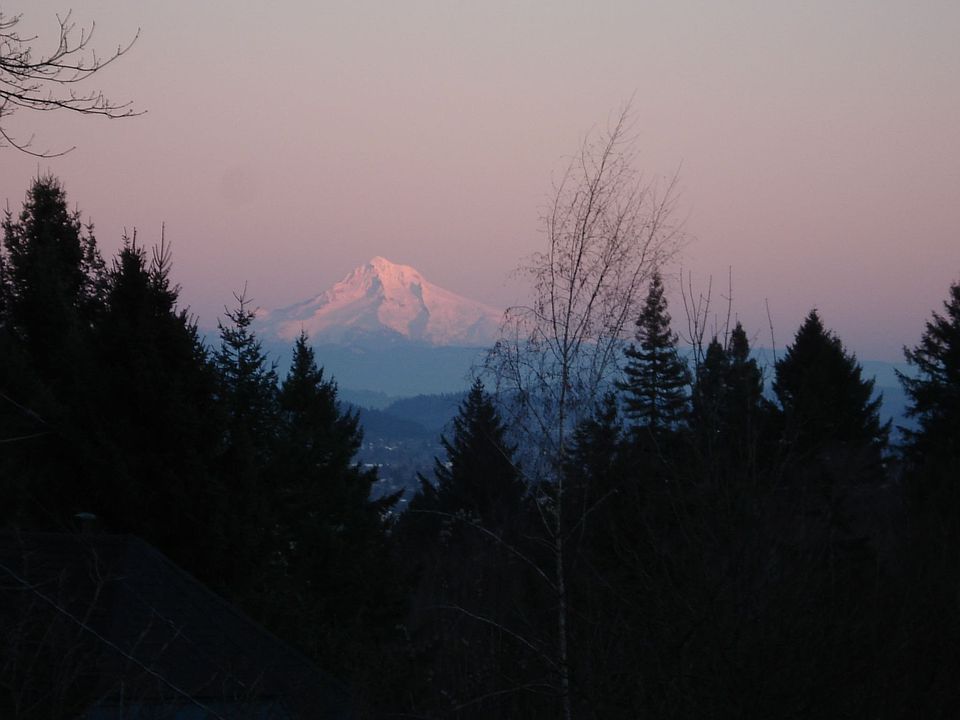 Mt. Hood view